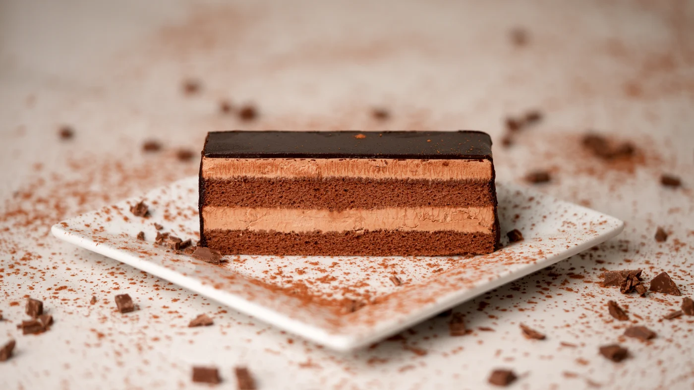 Chocolate slice. Rectangular dark cake slice with a glossy top and three distinct horizontal layers in contrasting brown shades.
